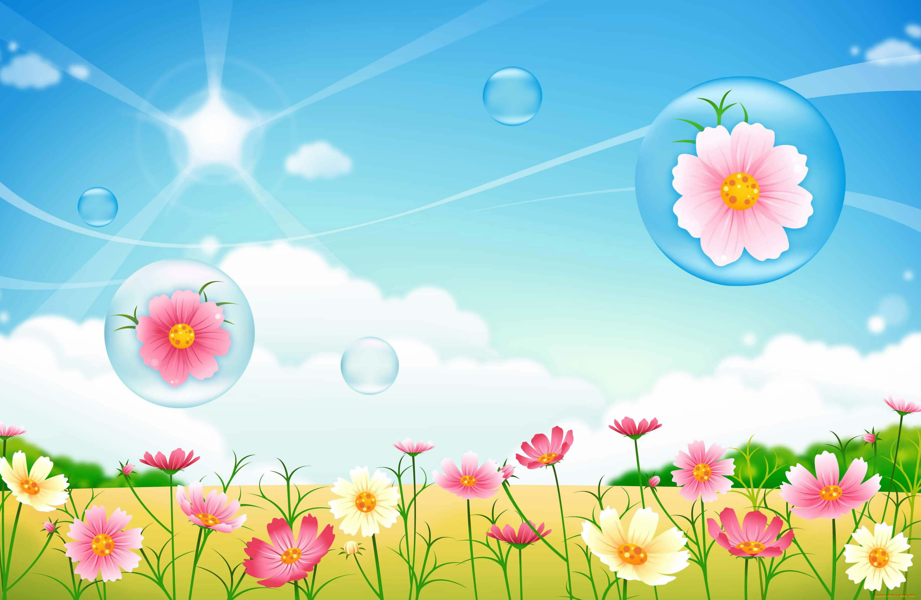  ,  , flowers, , 